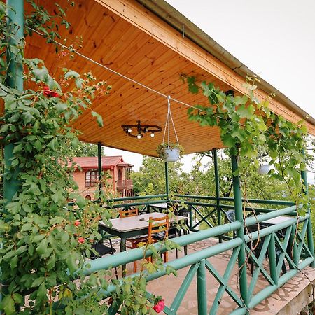 Sighnaghi Garden House Hotel Buitenkant foto